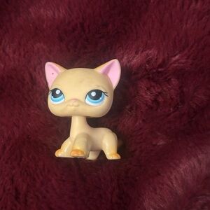 LPS #339